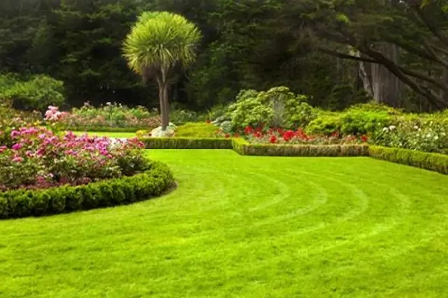 Mr Green Lawn Mowing & Garden Rotorua 0800MRGREEN