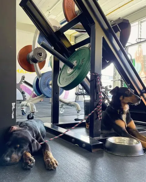 Habitat For Fitness