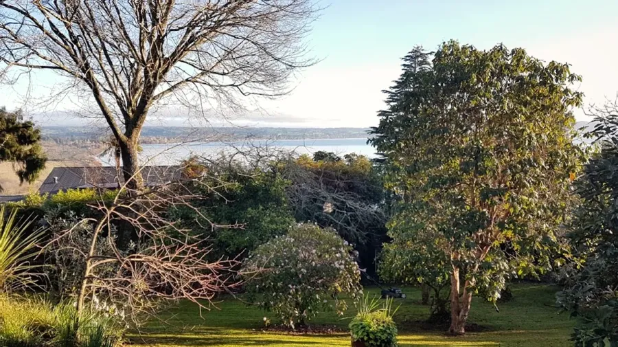 Select Lawn Mowing Rotorua