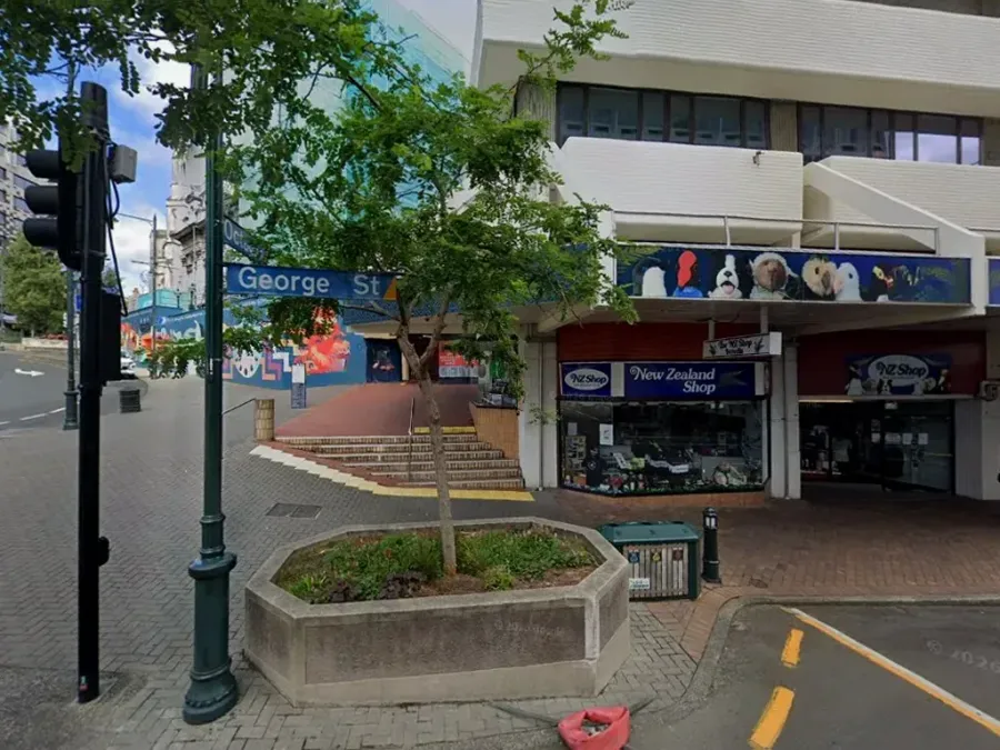 Dunedin City Holdings Ltd