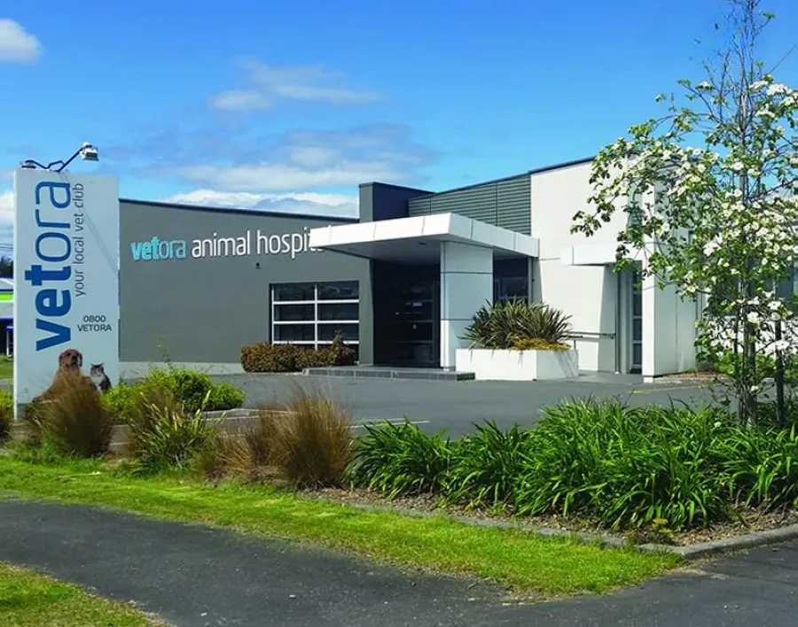 Vetora Rotorua
