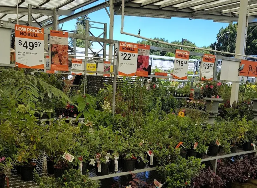 Mitre 10 MEGA Rotorua