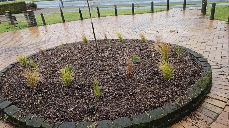 Turf n Earth