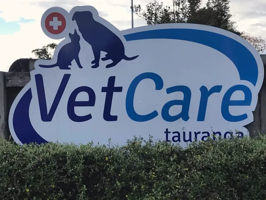 VetCare Tauranga