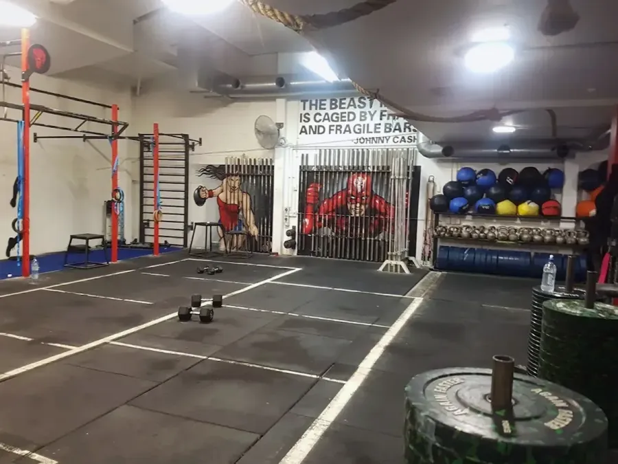 Domain Fitness