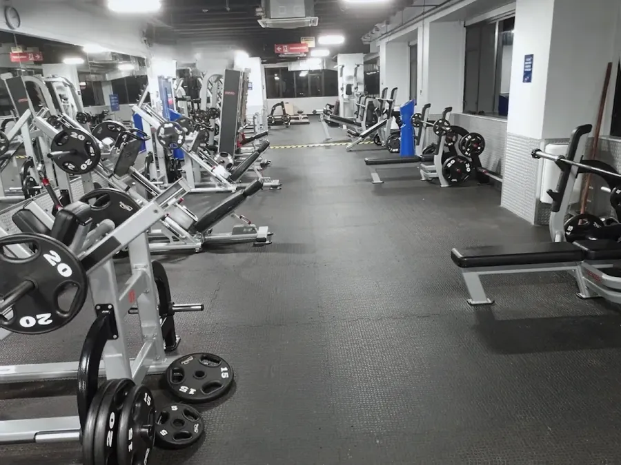 CityFitness Willis St