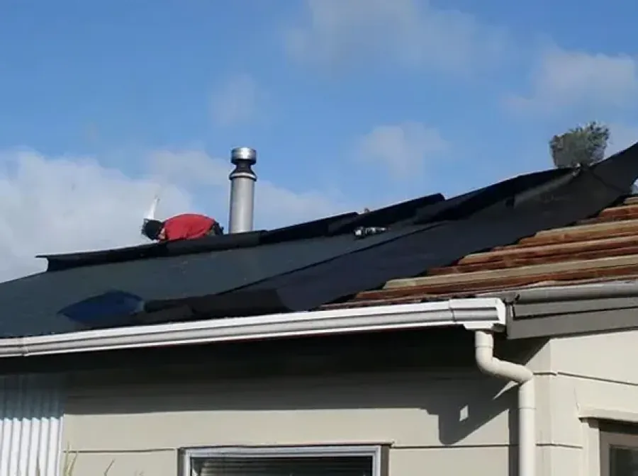 Auckland Roof Painting Ltd