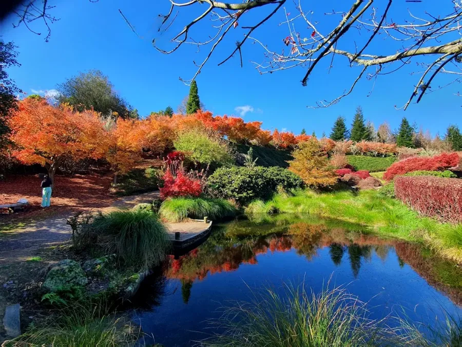 Centennial Park