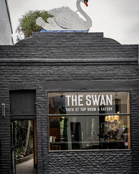 The Swan