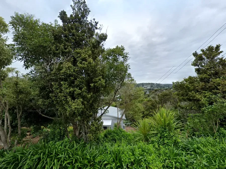 North & South Immigration NZ