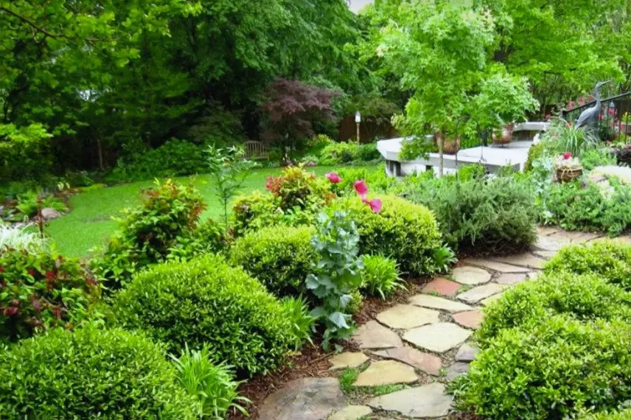 Tauranga Landscaping & Pools