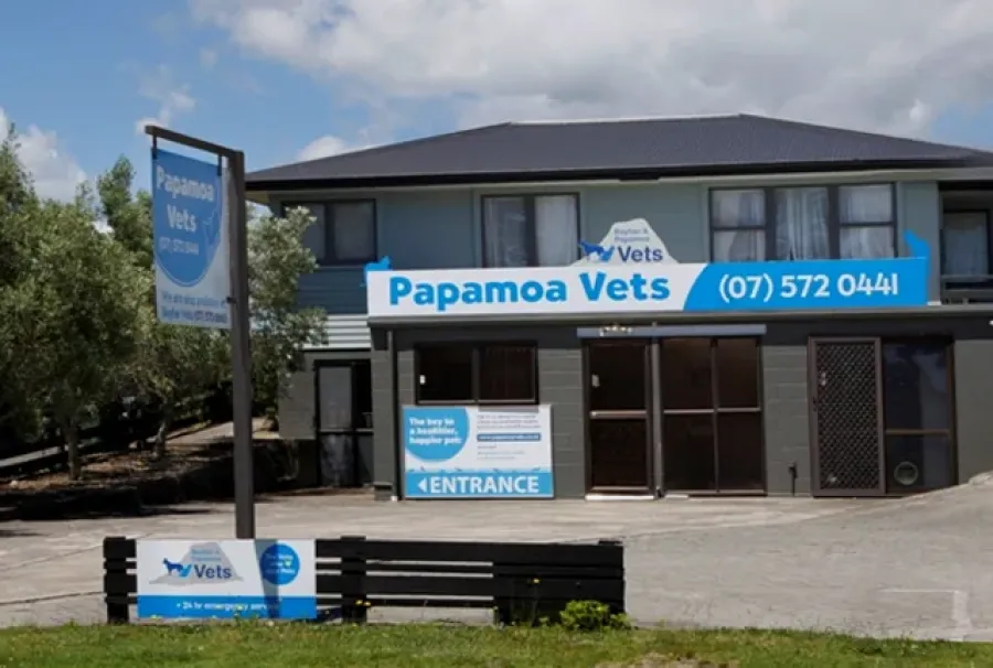 Papamoa Vets
