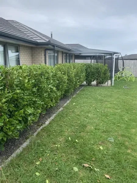 Green and Leafy Garden Services