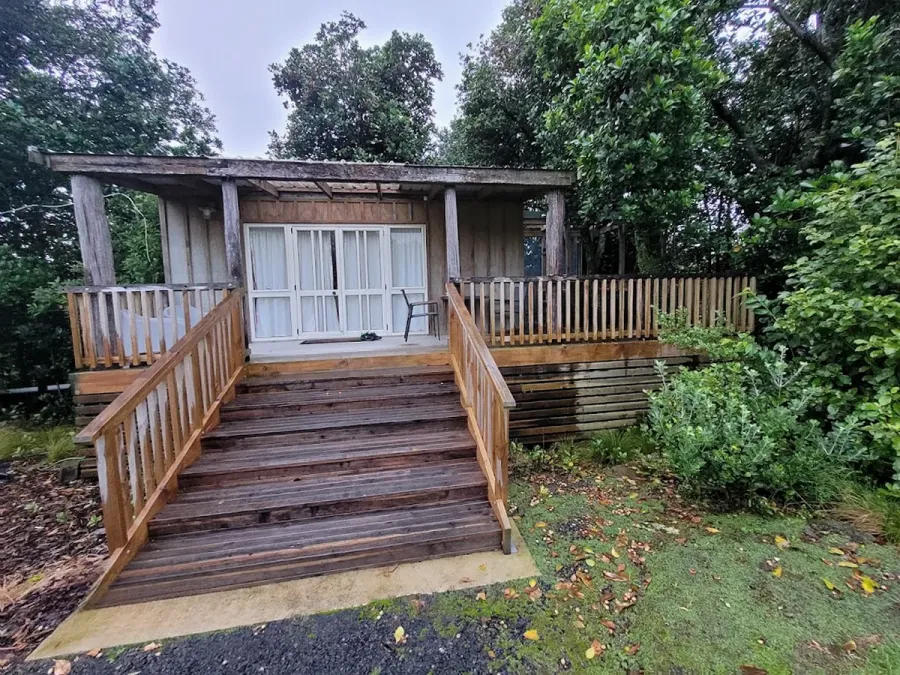 The Treehut