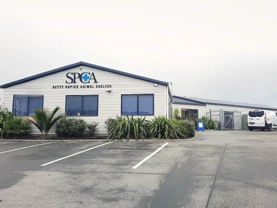 SPCA Tauranga Centre