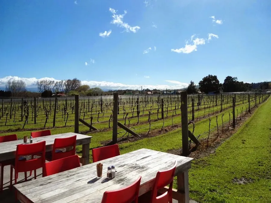 Margrain Cellar Door and Kitchen