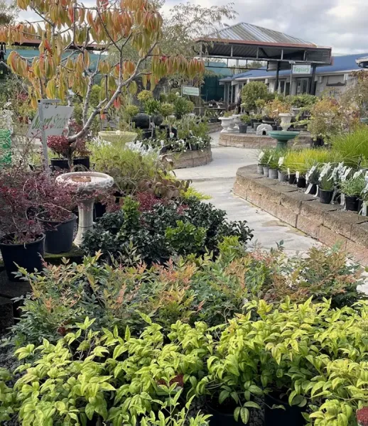 Portstone Garden Centre
