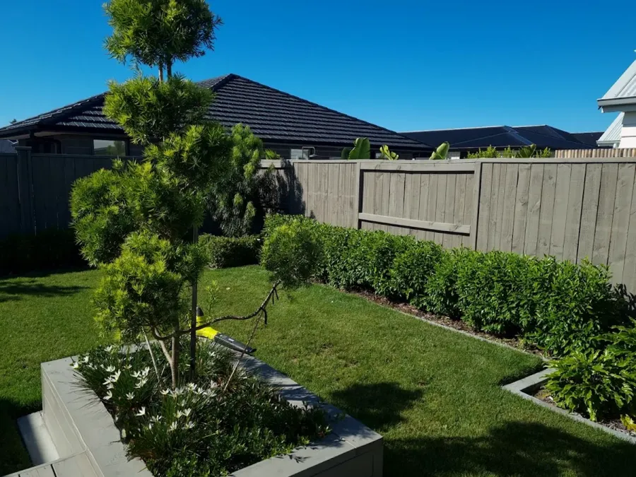 Landscape Designer - Modernscape NZ