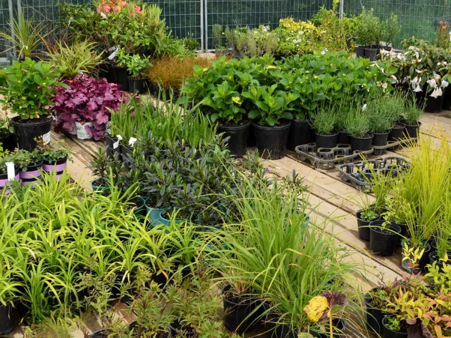 Rapid Lawn and Landscaping