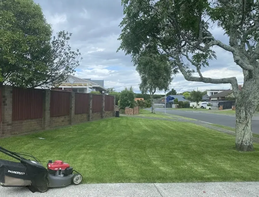 Mount Lawn Care