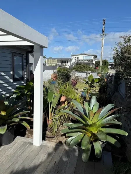 Eden Landscaping