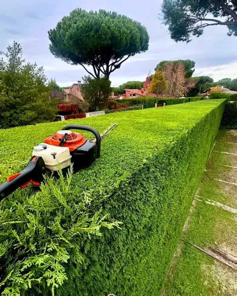 Wanaka Green | Gardening | Landscaping | Lawn Mowing Services in Wānaka