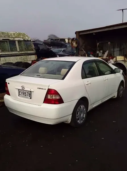 Taranaki Autoparts ltd