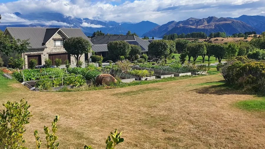 Living Landscapes Wānaka