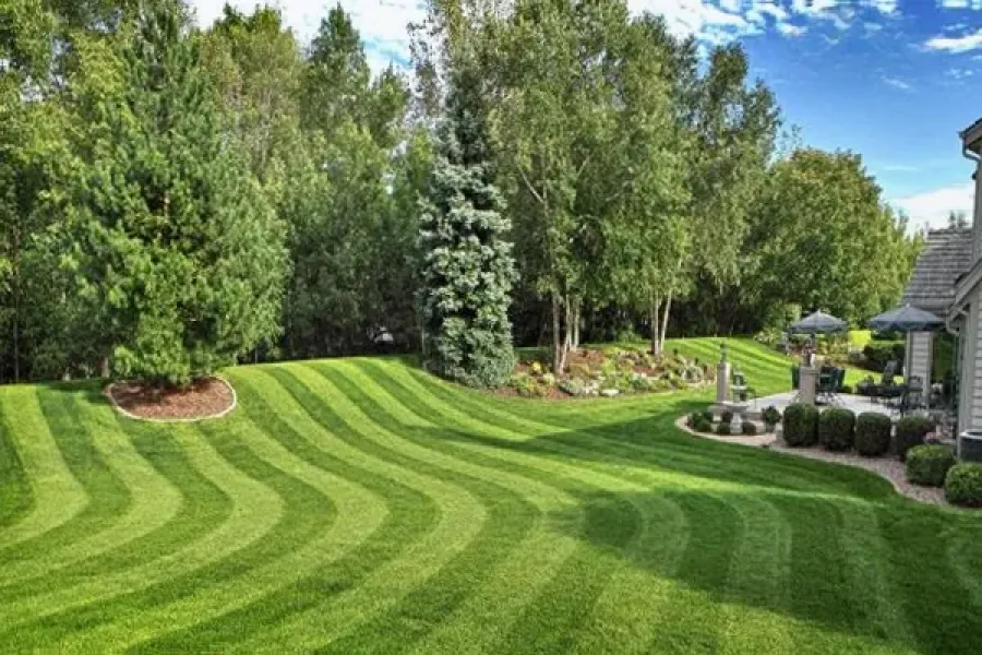 Helping Hand Lawn Services