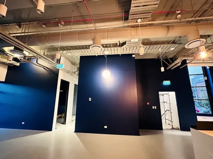 Auckland Budget Painters