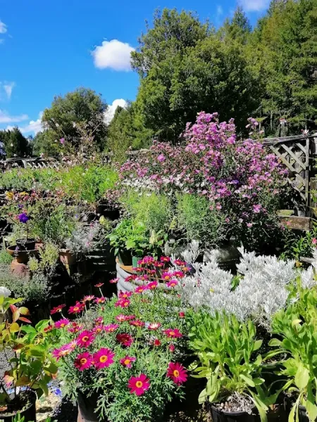 Daltons Landscape Supplies, Mount Maunganui