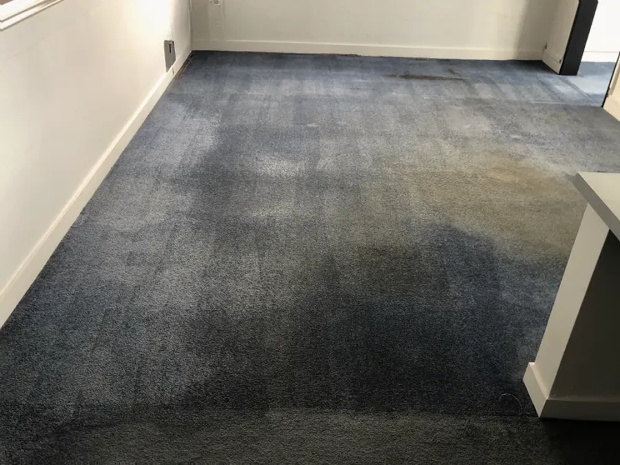You'll Say Wow Carpet Cleaning Whanganui