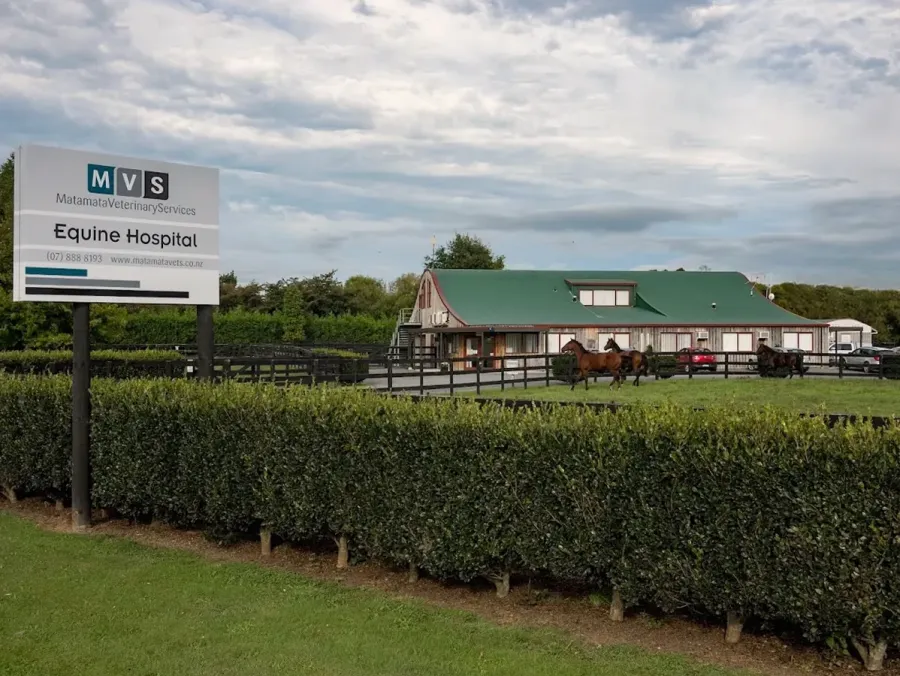 MVS Equine Hospital