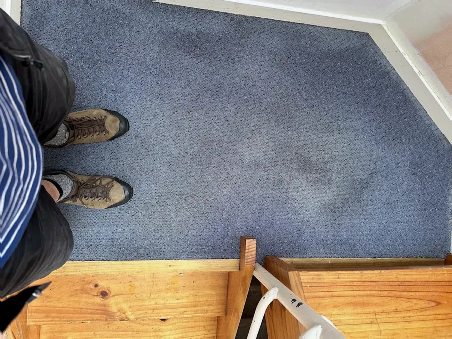 JAE Whanganui Carpet Cleaning and Pest Control