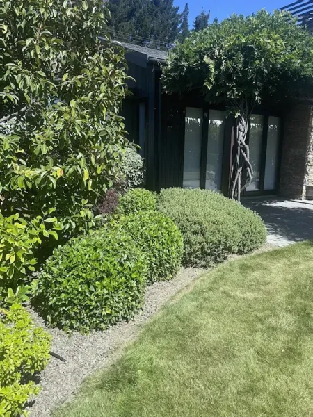 Green Garden Care Limited