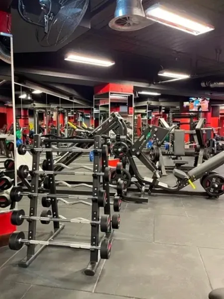 Snap Fitness 24/7 Wellington CBD