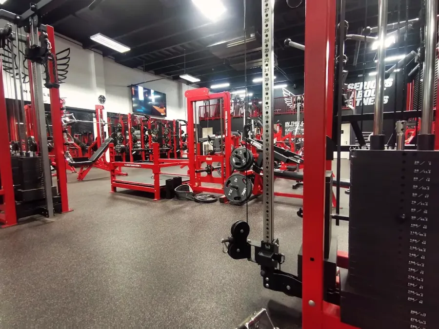 NZ Muscle Gym