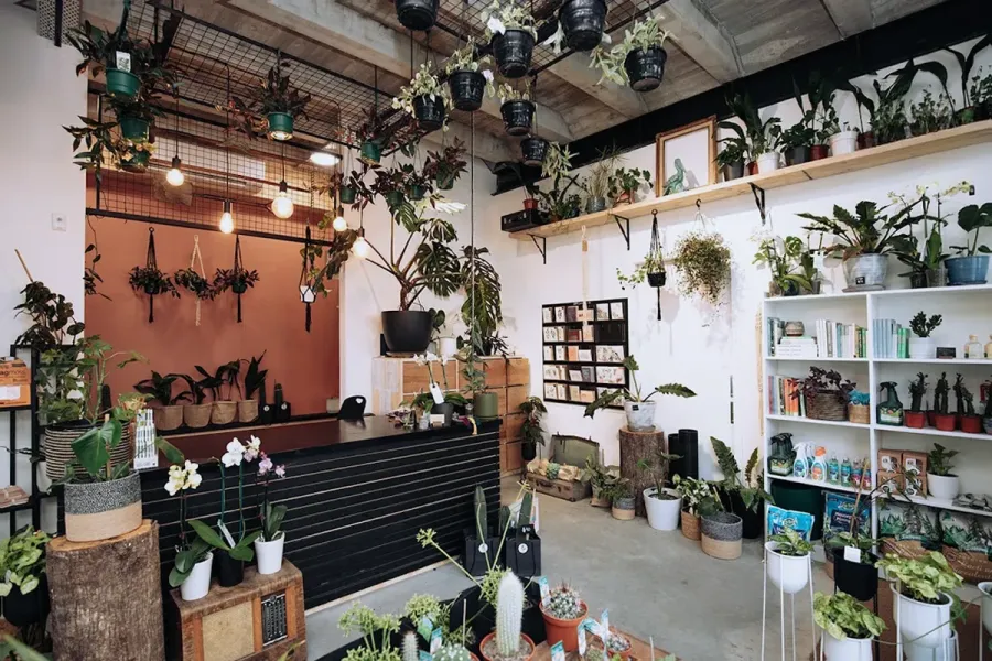 Plant Collective