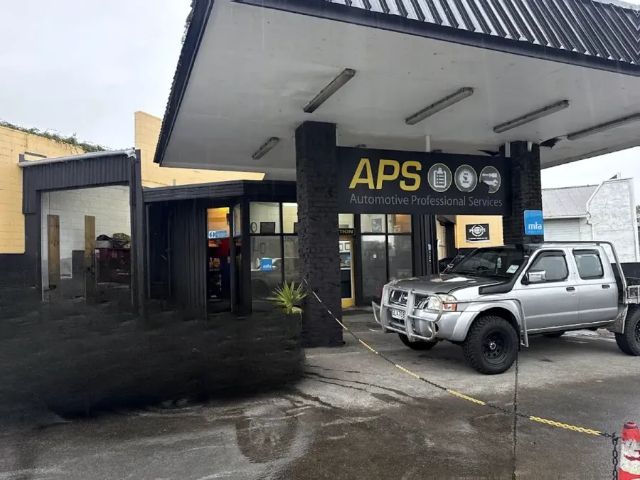 Automotive Professional Services