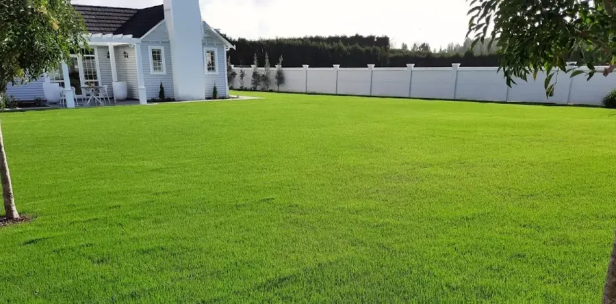 The Grass Guys