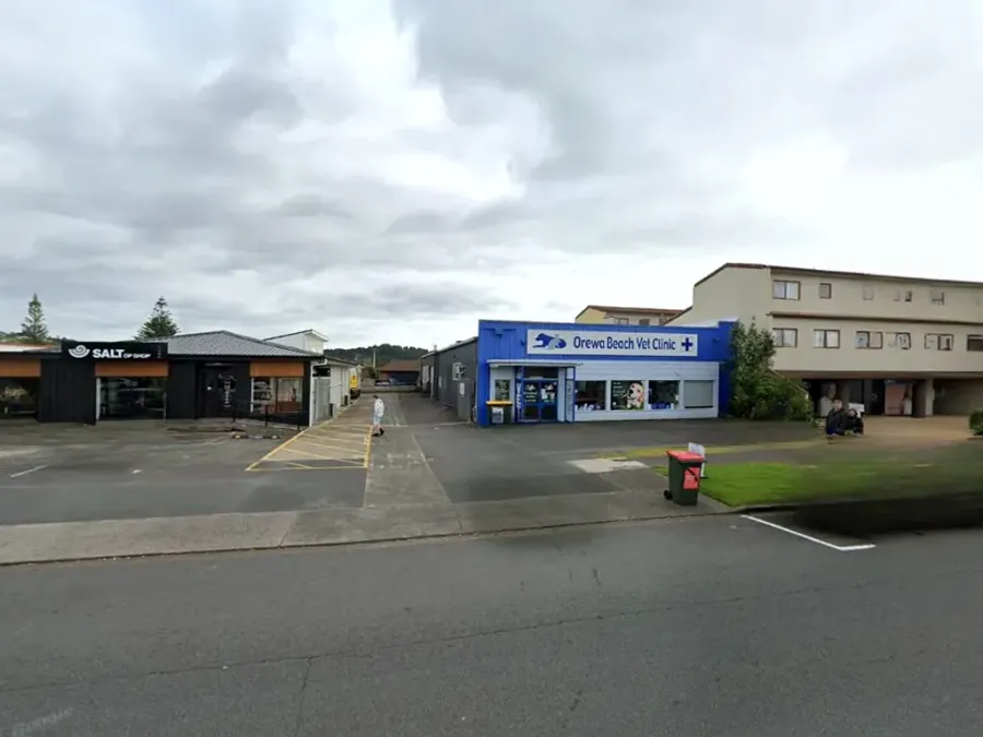 Hauraki Smiles Dental Laboratory Ltd.