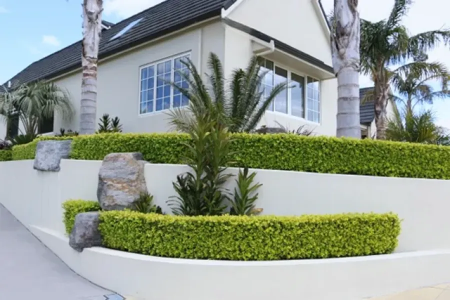 Instant Effect Garden Nursery- View by Appointment only