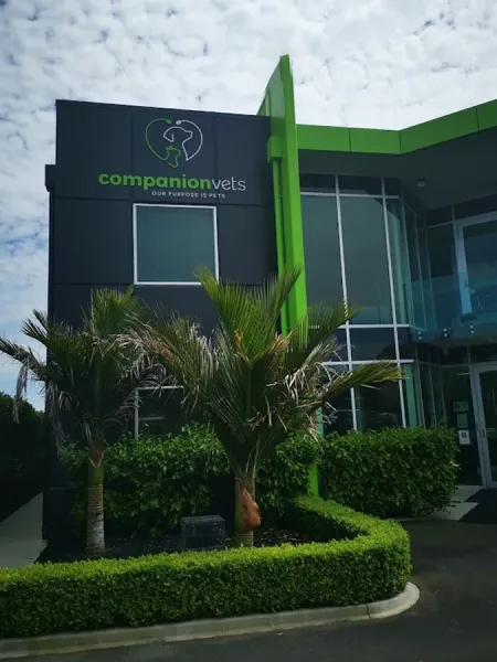 Companion Vets Ltd