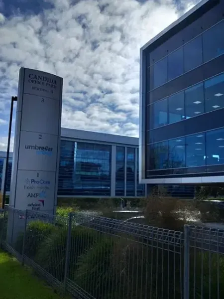Ankinnz Chartered Accountants