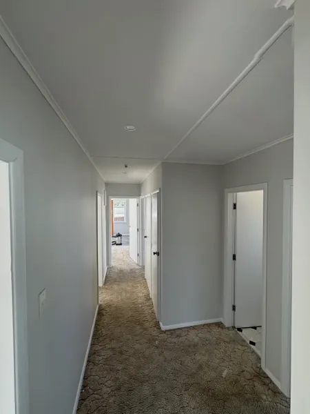 SC Painting Solutions