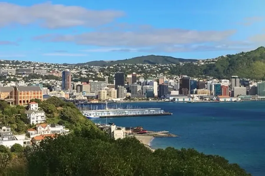 Family Lawyers Wellington