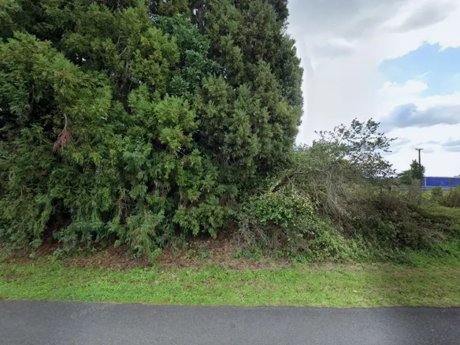 Vegetation and Tree Services Limited