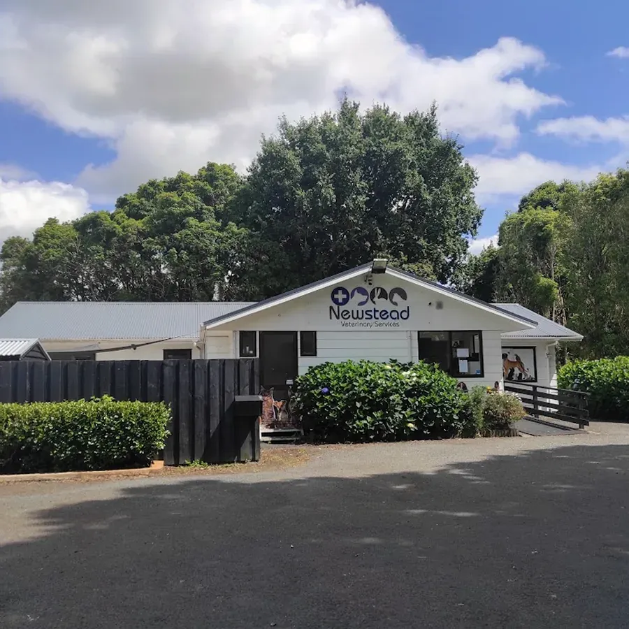 Newstead Veterinary Services