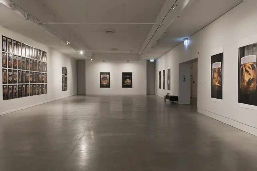 The Dowse Art Museum and Dowse Square