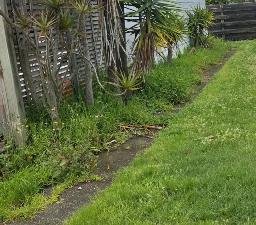 Gagandeep Lawn Rite Mt Maunganui,